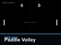 Paddle Volley